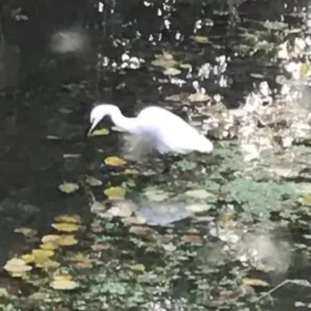 Reveil Aux Chants Des Oiseaux Asse-le-Riboul Exterior foto
