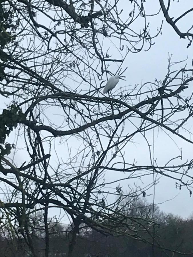 Apartment Reveil Aux Chants Des Oiseaux Asse-le-Riboul