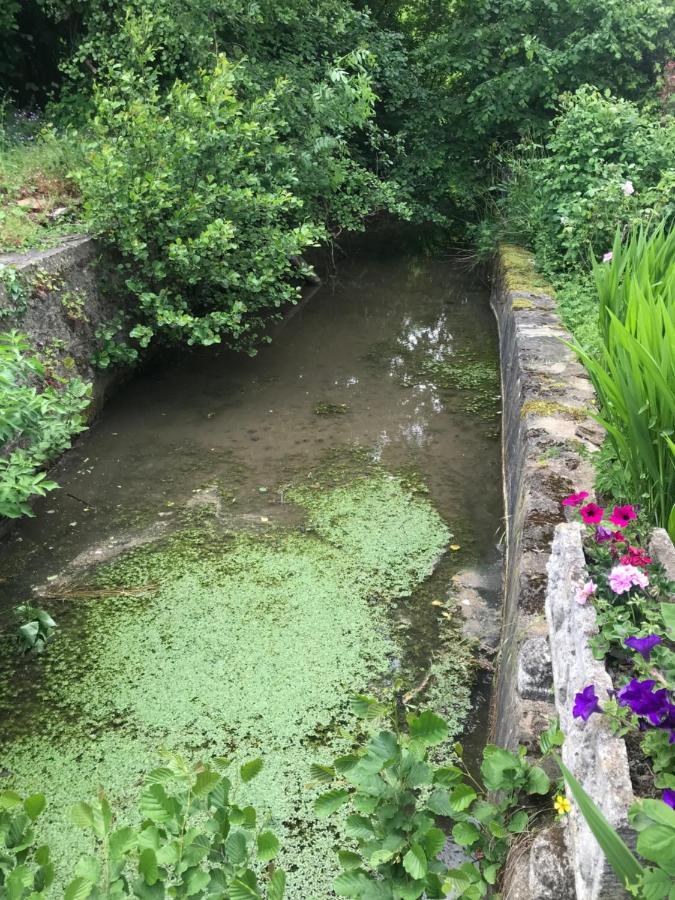 Apartment Reveil Aux Chants Des Oiseaux Asse-le-Riboul