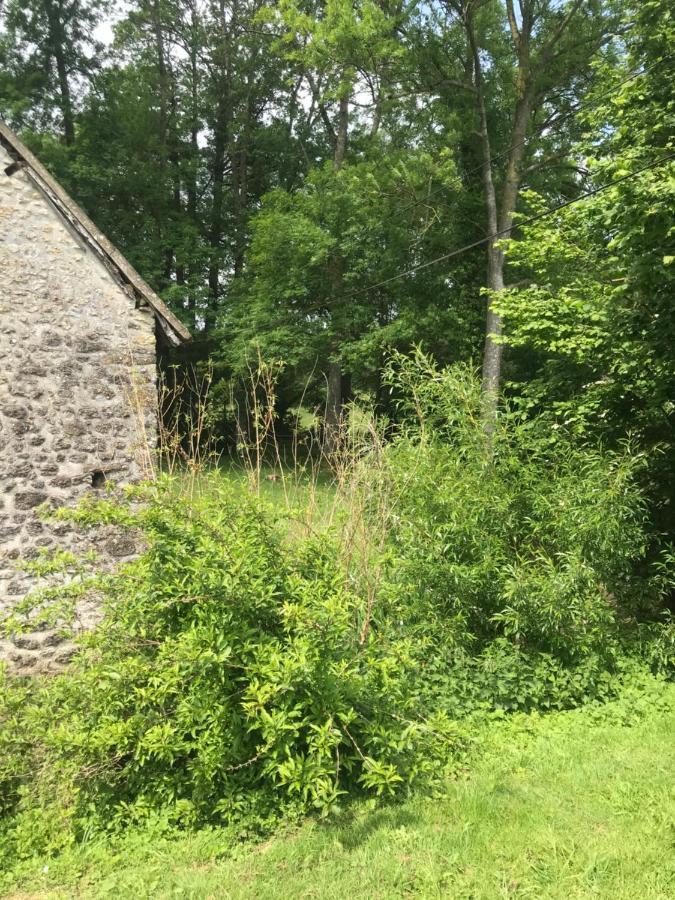 Reveil Aux Chants Des Oiseaux Asse-le-Riboul
